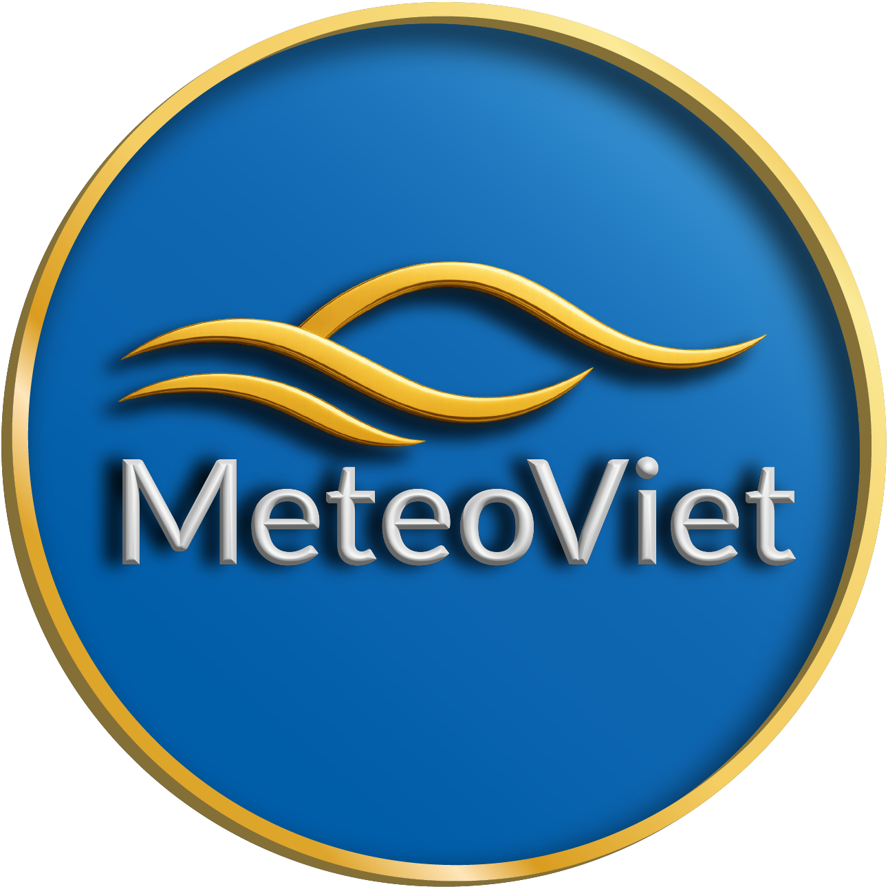 CMS Meteo Viet